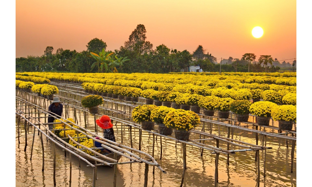 CHƯƠNG TRÌNH THAM QUAN ĐỒNG THÁP CHƯƠNG TRÌNH THAM QUAN ĐỒNG THÁP