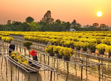 CHƯƠNG TRÌNH THAM QUAN ĐỒNG THÁP CHƯƠNG TRÌNH THAM QUAN ĐỒNG THÁP