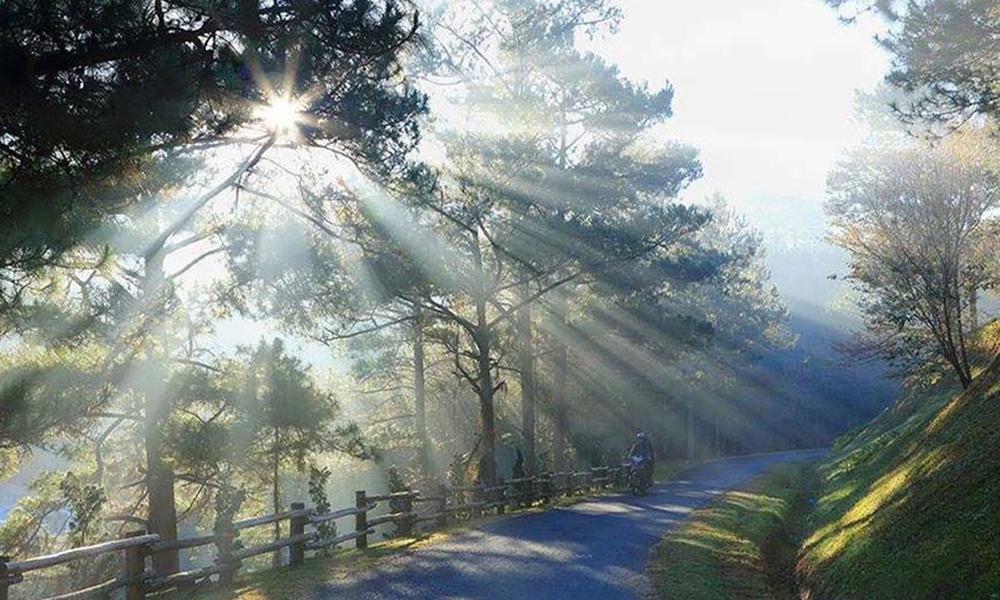 TP.HCM - PHAN THIẾT – ĐÀ LẠT - 4 NGÀY 3 ĐÊM