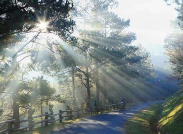 HCMC - PHAN THIET - DA LAT - 4 DAYS 3 NIGHT HCMC - PHAN THIET - DA LAT - 4 DAYS 3 NIGHT